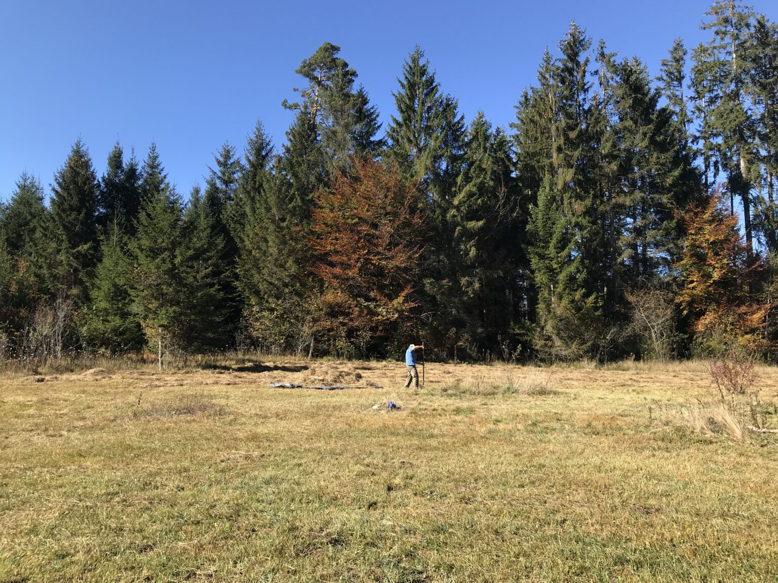 NaturschutzAktionen Brücke Starnberg e. V.